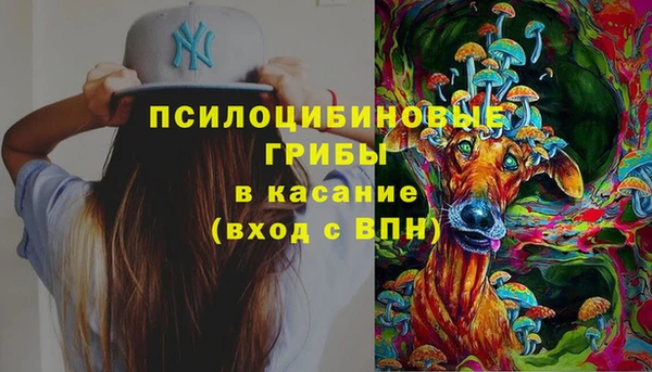 винт Аркадак
